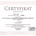 Powiększ obraz: certificate 40