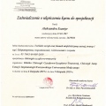 Powiększ obraz: certificate 26