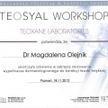 Powiększ obraz: certificate 8