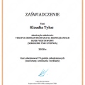 Powiększ obraz: certificate 4