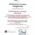 Powiększ obraz: certificate 22