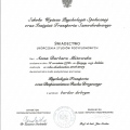Powiększ obraz: certificate 2