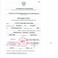 Powiększ obraz: certificate 26