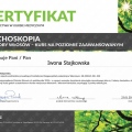 Powiększ obraz: certificate 48
