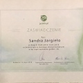 Powiększ obraz: certificate 12