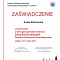 Powiększ obraz: certificate 25