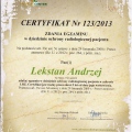 Powiększ obraz: certificate 5