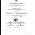 Powiększ obraz: certificate 15