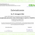 Powiększ obraz: certificate 1