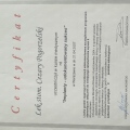 Powiększ obraz: certificate 27