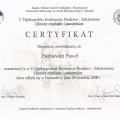 Powiększ obraz: certificate 83