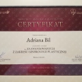 Powiększ obraz: certificate 1