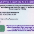 Powiększ obraz: certificate 1