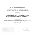 Powiększ obraz: certificate 8