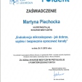 Powiększ obraz: certificate 13