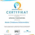 Powiększ obraz: certificate 24