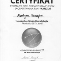 Powiększ obraz: certificate 9