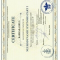 Powiększ obraz: certificate 6