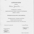 Powiększ obraz: certificate 11