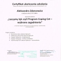 Powiększ obraz: certificate 4