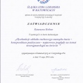 Powiększ obraz: certificate 7