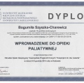 Powiększ obraz: certificate 25