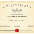 Powiększ obraz: certificate 42