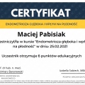 Powiększ obraz: certificate 8