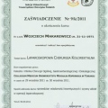 Powiększ obraz: certificate 23