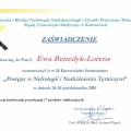 Powiększ obraz: certificate 15