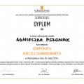Powiększ obraz: certificate 9