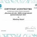 Powiększ obraz: certificate 6