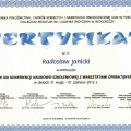 Powiększ obraz: certificate 8