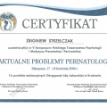 Powiększ obraz: certificate 16