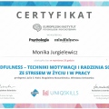 Powiększ obraz: certificate 8