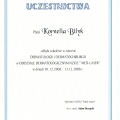 Powiększ obraz: certificate 6