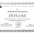 Powiększ obraz: certificate 19