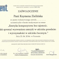 Powiększ obraz: certificate 3