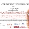 Powiększ obraz: certificate 10