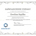 Powiększ obraz: certificate 49