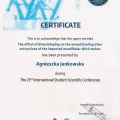 Powiększ obraz: certificate 26