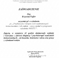 Powiększ obraz: certificate 4