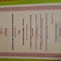 Powiększ obraz: certificate 8
