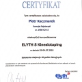 Powiększ obraz: certificate 19