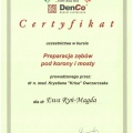Powiększ obraz: certificate 12