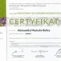Powiększ obraz: certificate 20