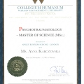 Powiększ obraz: certificate 4