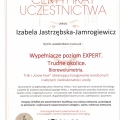 Powiększ obraz: certificate 12