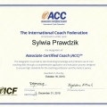 Powiększ obraz: certificate 13