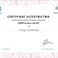 Powiększ obraz: certificate 22